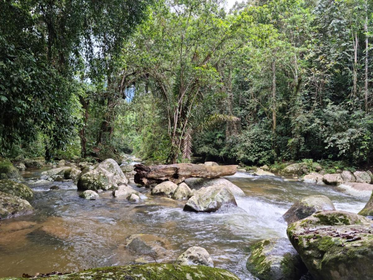Recanto Da Margo 1, Casa Com Acesso A Cachoeira Araquari Eksteriør billede