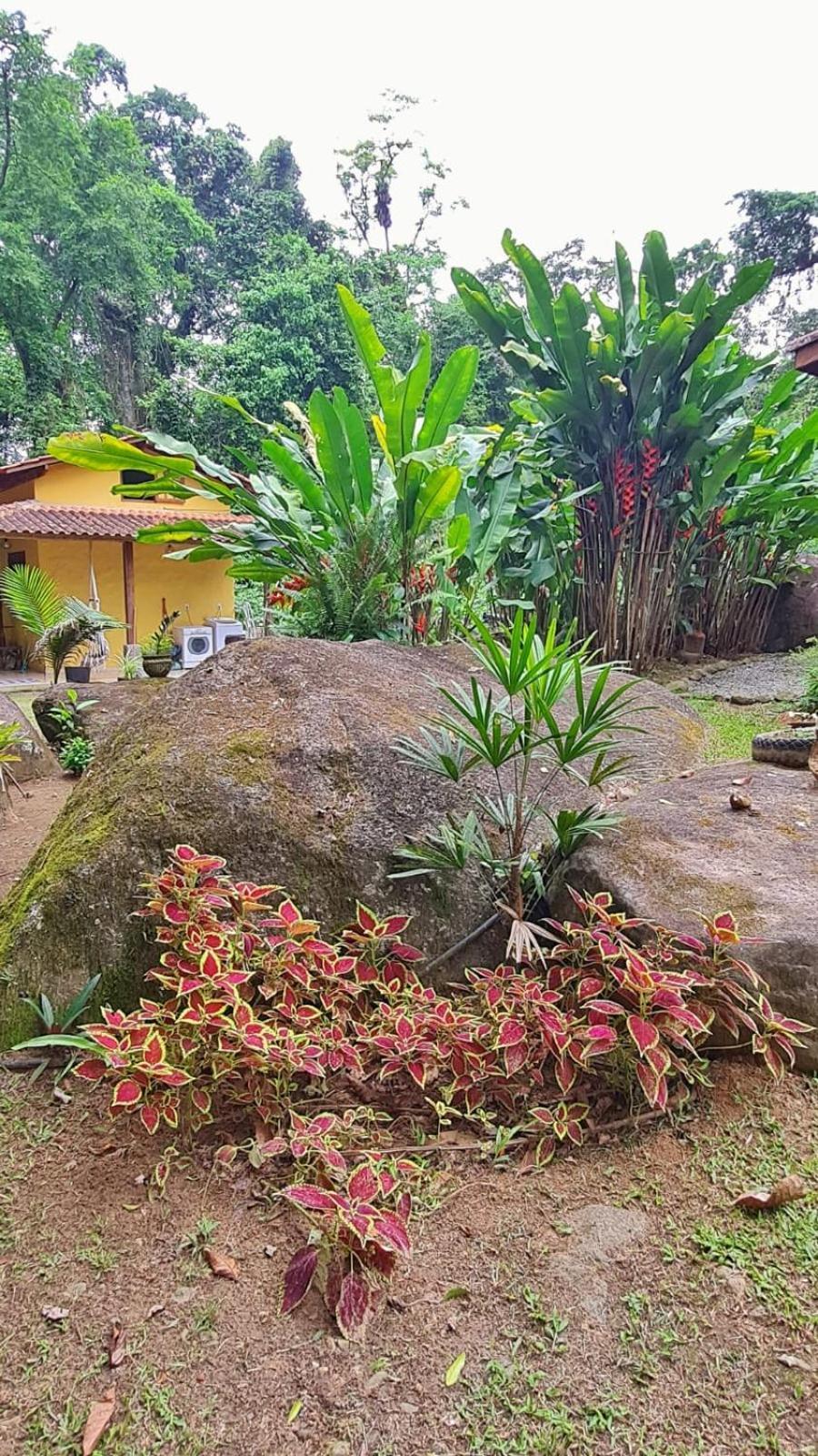 Recanto Da Margo 1, Casa Com Acesso A Cachoeira Araquari Eksteriør billede