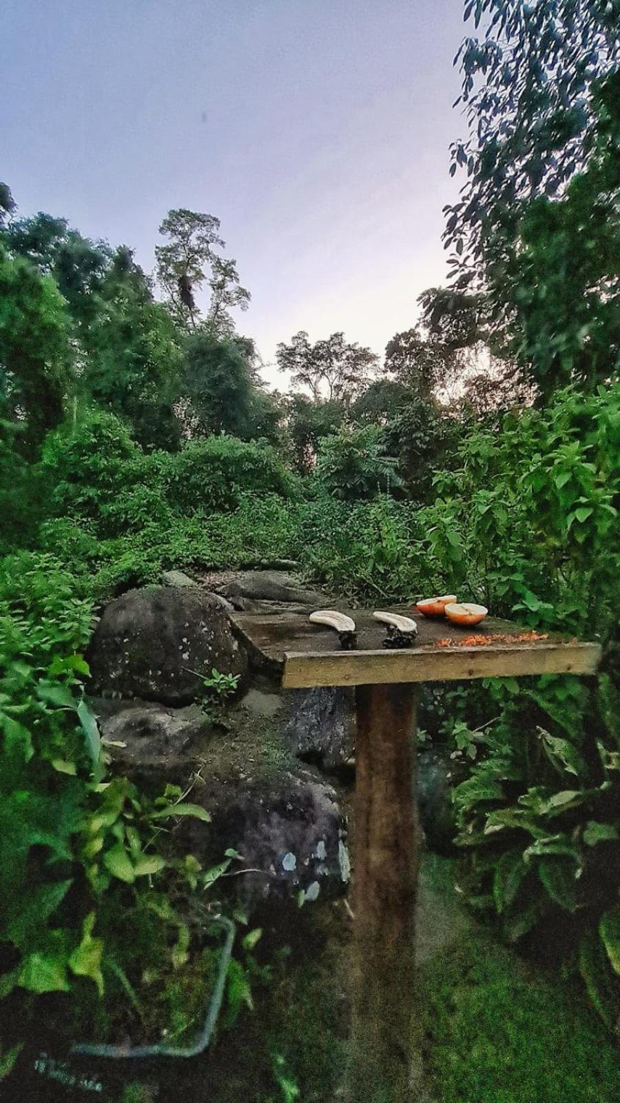 Recanto Da Margo 1, Casa Com Acesso A Cachoeira Araquari Eksteriør billede