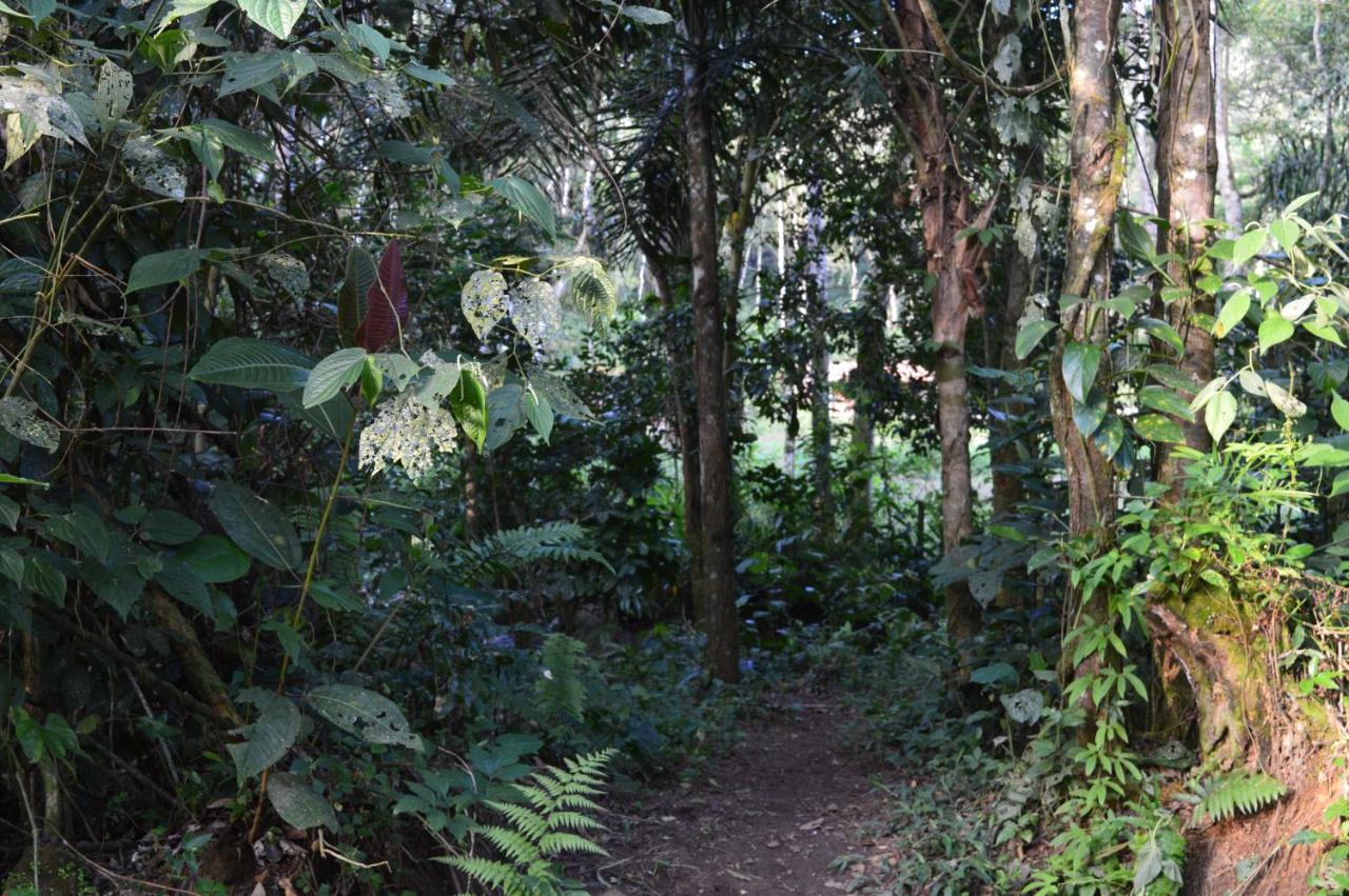 Recanto Da Margo 1, Casa Com Acesso A Cachoeira Araquari Eksteriør billede