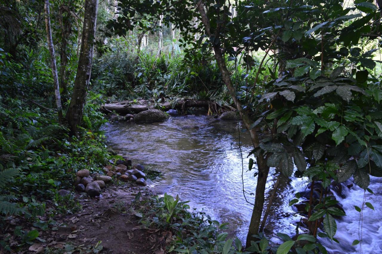 Recanto Da Margo 1, Casa Com Acesso A Cachoeira Araquari Eksteriør billede